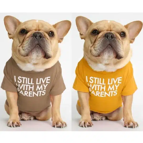 Letter Printed Dog T Shirts for Small Medium Dogs, Cotton Breathable Pet Apparel Puppy Dog Shirt Spring Summer Dog Clothes 2