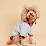 Dog Hoodie for Small Dogs Costume Soft Puppy with  Doggie Plaid Pet Clothes  Cat Apparel 1