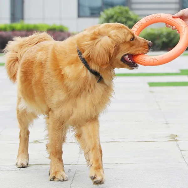 1pc Orange Dog Toys Pet Flying Disk Training Ring Puller EVA Interactive Training Ring Puller Resistant for Dogs 4