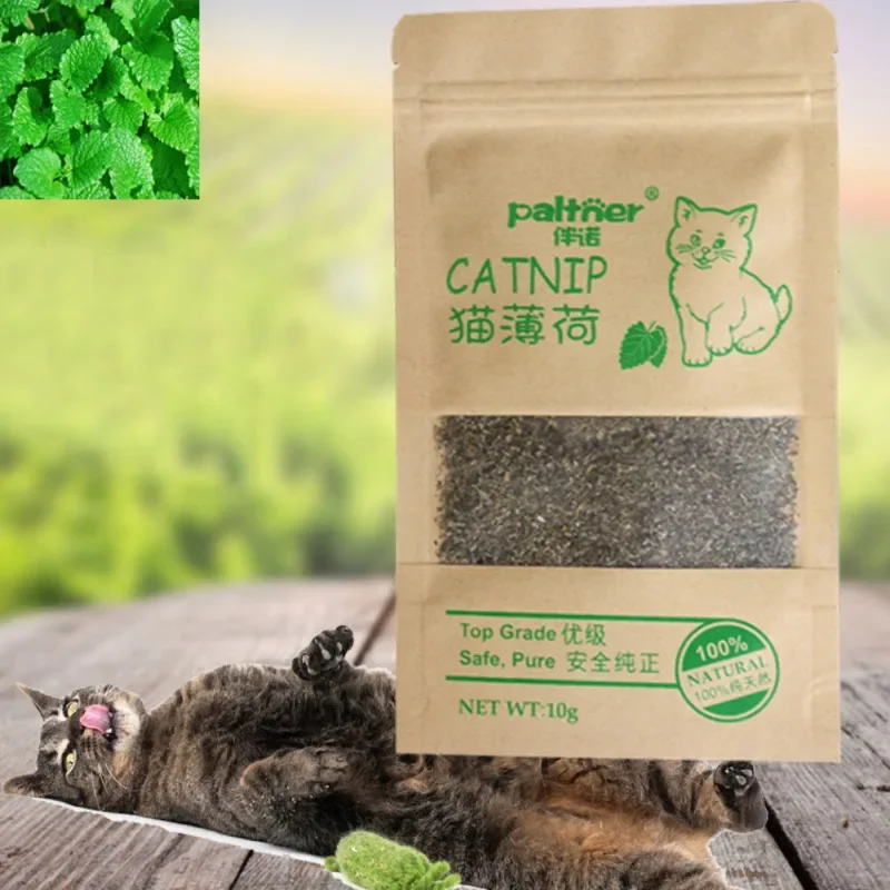 New Organic 100% Natural Cat Catnip Cattle Grass 10g Cat Mint Leaves Menthol Flavor Funny Cat Training Toy Cats Supplies 1