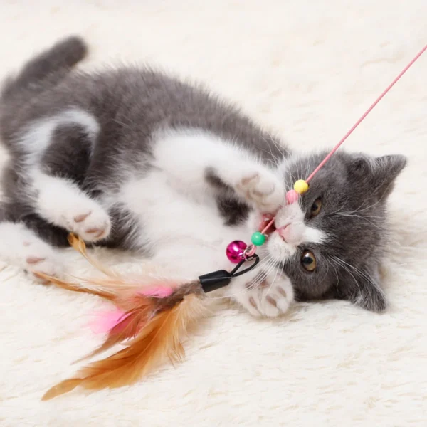 1pc Pet Teaser Cat Toy Steel Wire Feather Interactive Cat Stick Training,Kitten Wand Toys with Beads Bells 6