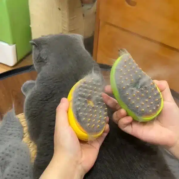Cat Brush Steamy Dog Brush Electric Spray Cat Hair Brushes Pet Grooming Comb Hair Removal Massage Pet Accessories 5