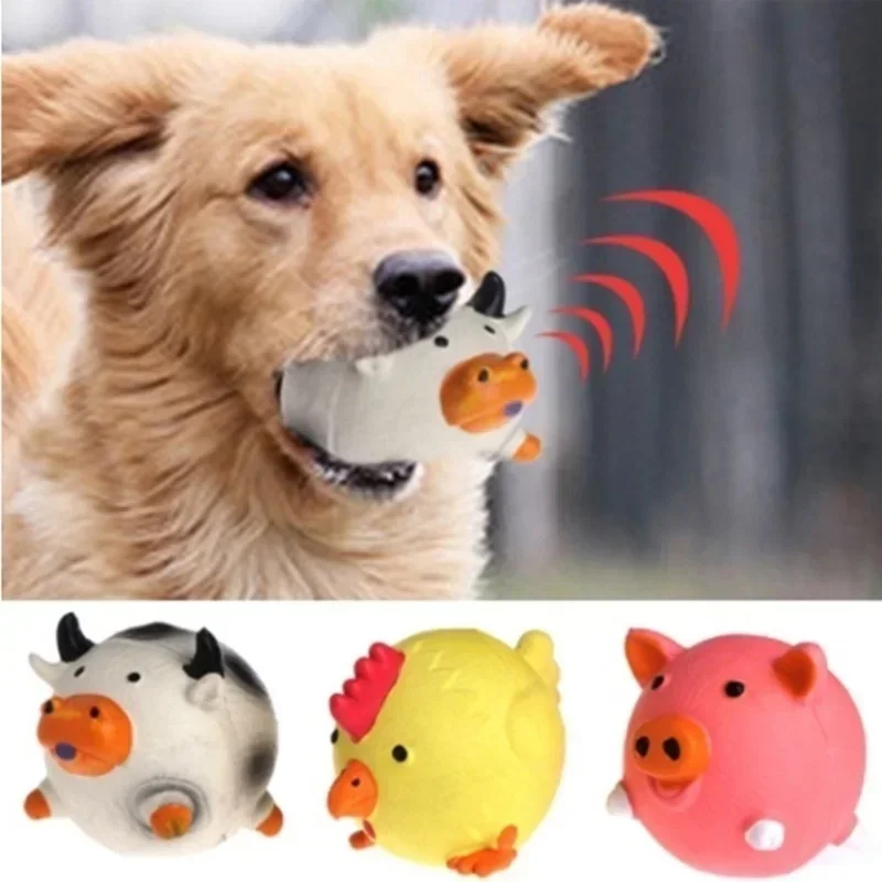 Pet dog vocal toy 1