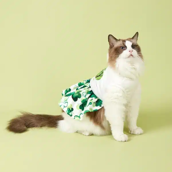 Cutest Clover in The Dog Dress, St Patricks Day Dog Clothes for Small Dogs Girl, Funny Pet Apparel Cat Holiday Outfit 2