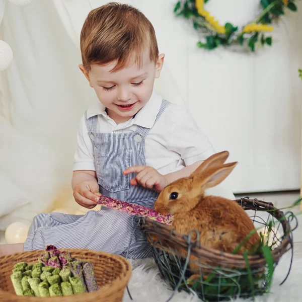 32Pcs Timothy Hay Sticks 320g Rabbit Toys Bunny, Guinea Pig Toys Natural Hamster Toys for Teeth Handmade Treats and Chews Chinc 3