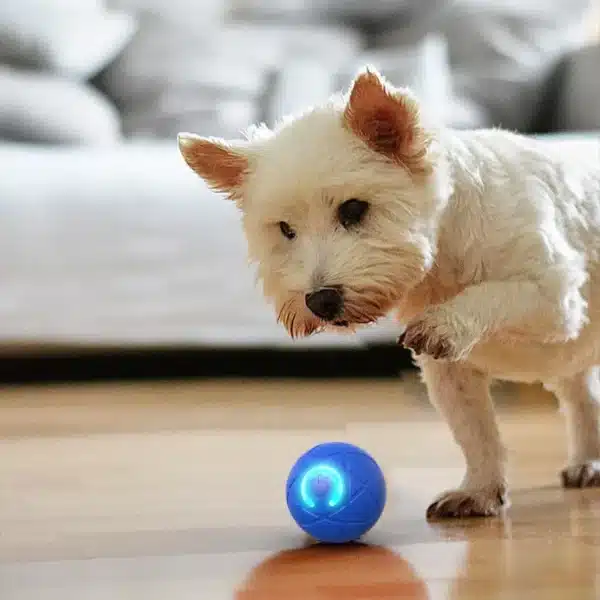 Smart Dog Toy Ball USB Automatic Moving Bouncing Ball Dog Toy Rechargeable Bite-Resistant Dog Ball Electric Interactive Pet Toy 4