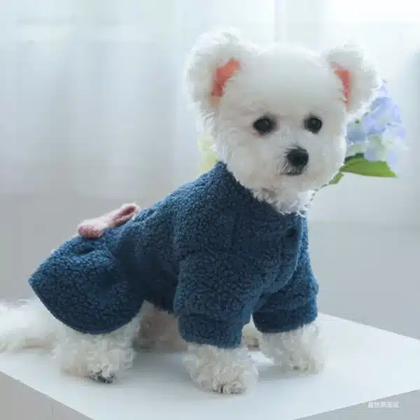 1PC Pet Apparel Cat Dog Autumn and Winter Plush Thickened Warm Blue Bow Princess Dress Suitable for Small and Medium sized Dogs 4