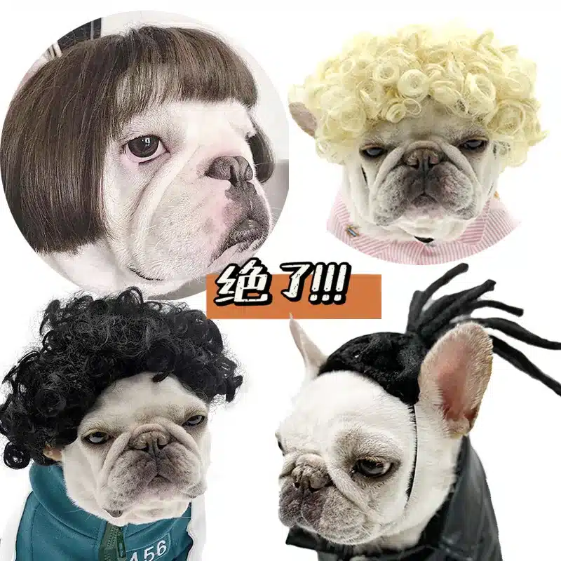 Funny Dog Cosplay Wigs Fashion Headwear Apparel Toy Halloween Pet Costumes Accessories Dog Wigs For Small Medium Large Dogs 1