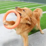 1pc Orange Dog Toys Pet Flying Disk Training Ring Puller EVA Interactive Training Ring Puller Resistant for Dogs 1