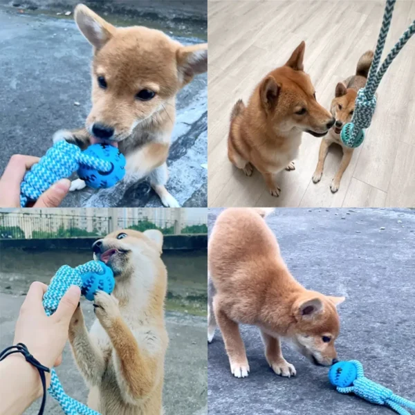 Dog Ball Toy with Rope Interactive Dog Rubber Leaking Balls Toy for Small Large Dogs Chewing Bite Resistant Toys Pet Tooth Clean 2