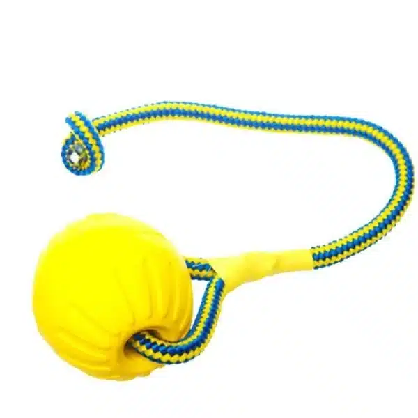 1pc Teeth Indestructible Bite Rubber Puppy Funny Training Ball Chew Toys Play Fetch Solid with Carrier Rope Pet Dog Toy 6