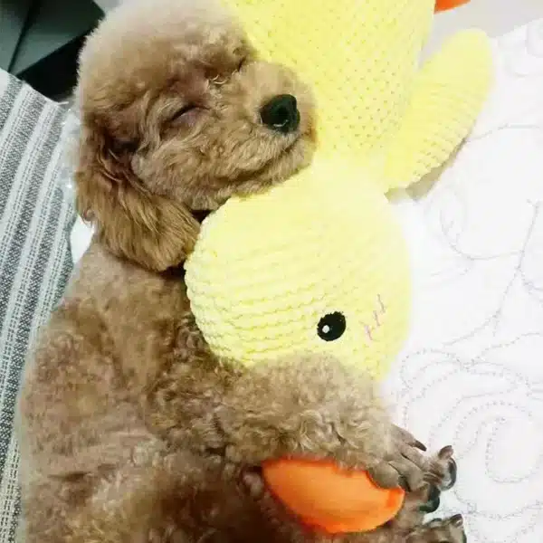 1pc Dog Plush Toys bite-resistant Teething Sleep With Sound Boredom Small Yellow Duck Toys Dog Pet Supplies 2