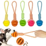 Dog Ball Toy with Rope Interactive Leaking Balls for Small Large Dogs Bite Resistant Chew Toys Puppy Training Pet Accessories 1