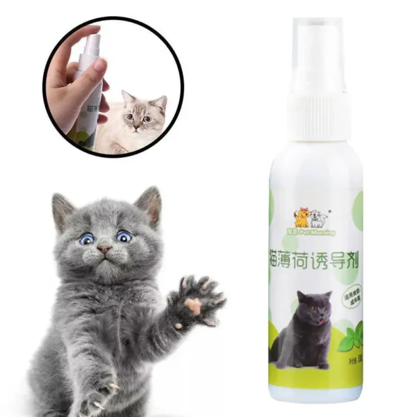 1pcs 50ml Cat Catnip Spray Natural Healthy Safe Long-term Toy Cat Pet Training Scratching CatMint Inducer Effect Pad W0Q4 5