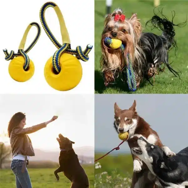 1pc Teeth Indestructible Bite Rubber Puppy Funny Training Ball Chew Toys Play Fetch Solid with Carrier Rope Pet Dog Toy 2