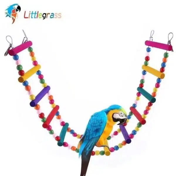 Bird Toys Set Swing Chewing Training Toys Small Parrot Hanging Hammock Parrot Cage Bell Perch Toys with Ladder Pet Supplies 1pc 3