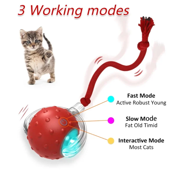 Interactive Cat Toy Ball with Bird Chirping Super Drive Cat Rolling Balls Motion Activated Sensor Pet Kittens Teaser Game Toys 2