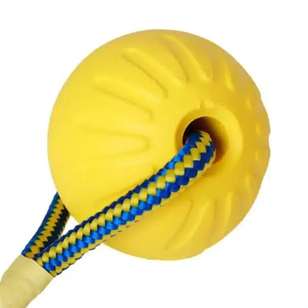 1pc Teeth Indestructible Bite Rubber Puppy Funny Training Ball Chew Toys Play Fetch Solid with Carrier Rope Pet Dog Toy 5