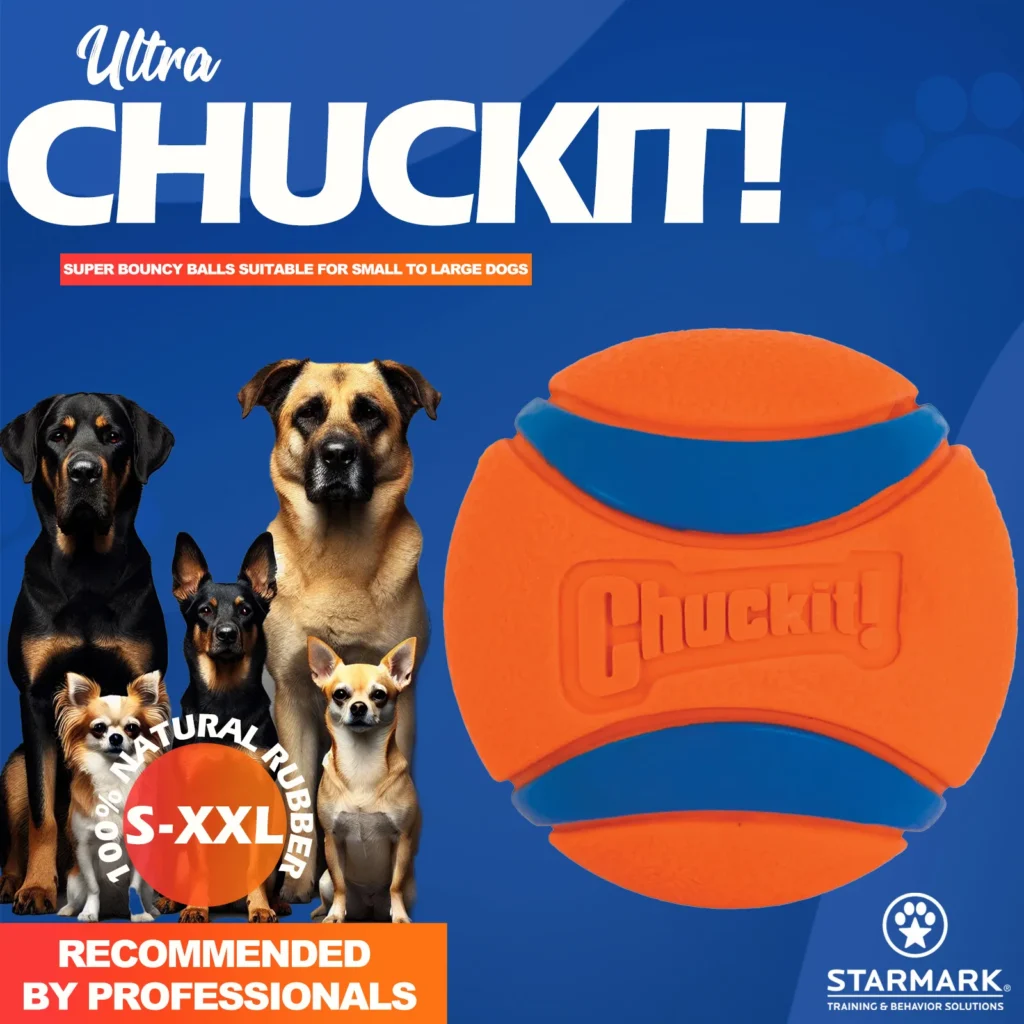 Chuckit! Ultra Ball Dog Toy 1