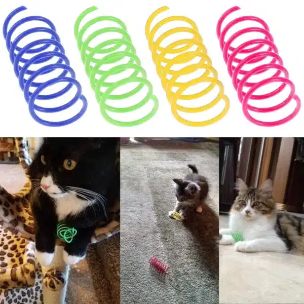 16pcs Cat Springs Toys Kitten Coil Spiral Pet Interactive Gauge Plastic Spring Toy Colorful Springs Cat Pet Toy Products 6