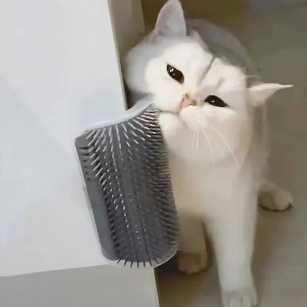 Pet Brush Comb Play Cat Toy Softer Cat Self Groomer Massage Comb with Catnip Cat Face Scratcher for Kitten Puppy Cat Accessories 1