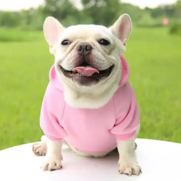 Puppy Apparel Outfit Pet Costume Solid Color Two-legged Warm Clothes Cat Dog Pullover Clothes Hoodies With Pockets DIY Soft 5