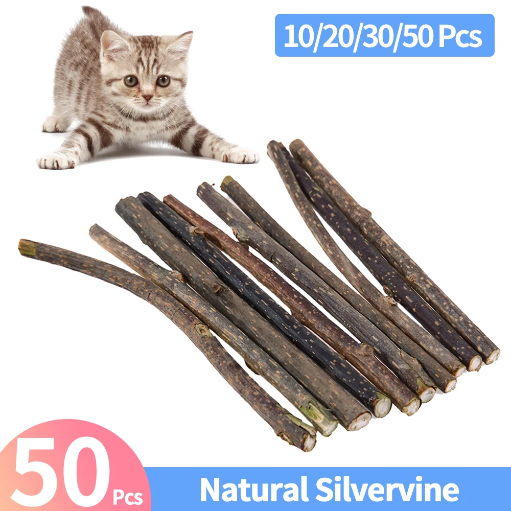 10/20/30/50Pcs Natural Silvervine Catnip Cat Chew Toy Suit Silvervine Cat Snacks Stick Safety Molar Toothpaste Sticks Pet Supply 1