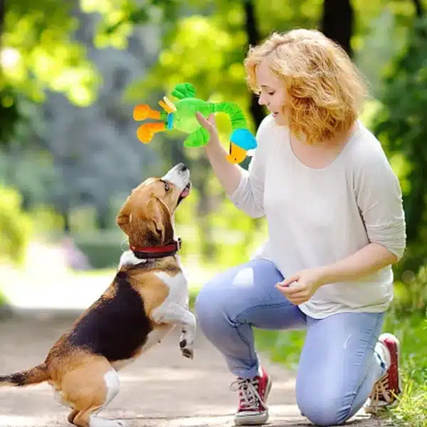 Pets Dog Toys Screaming Chicken Sound Toy Puppy Bite Resistant Chew Toy Interactive Squeaky Dog Toy Puppy Dog Accessories 3