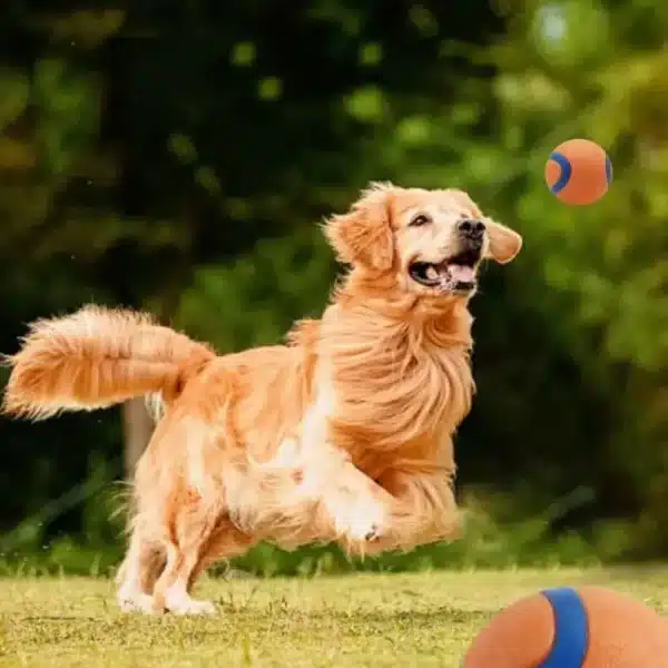 Dog Toy Ball Dog Fetch Ball Toy Tough Pet Ball Puppy Chew Toy Solid Elastic Jumping Ball Pet Accessories For Large Medium Small 2