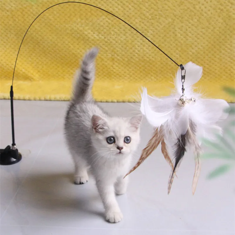 Cat Toy Funny Cat Toys Interactive Self Hi Feather Toys for Cats Tease Bite Resistant Cats Toy with Sucker Stick Pet Supplies 1