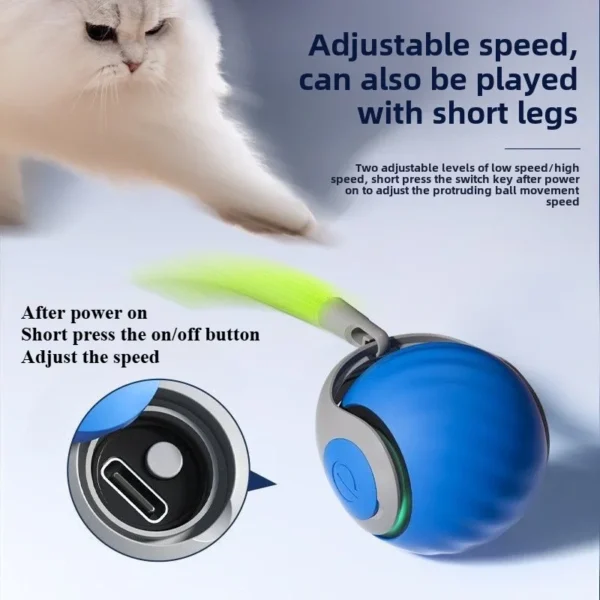 2024 New Interactive Cat Toy Ball Small Tail Rolling Ball Suitable for Indoor and Outdoor Cat and Dog Play Toys for Cats Things 3