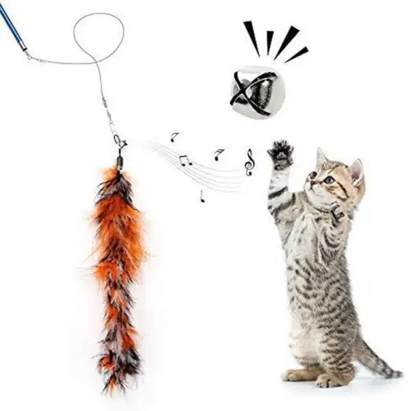 Interactive Cat Feather Toy Feather Teaser Stick Wand Pet Retractable Feather Bell Refill Replacement Catcher Product for Kitten 4