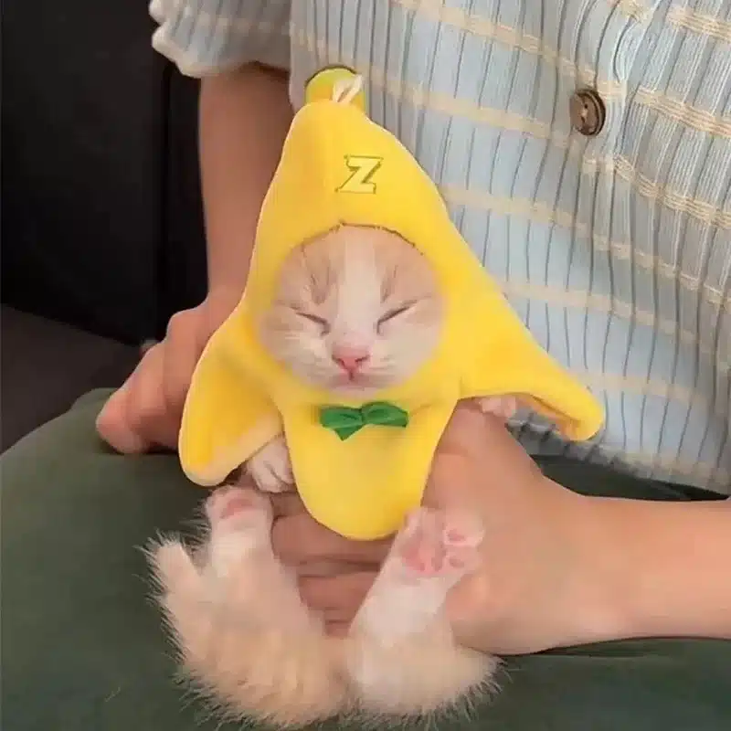 Cat Costume Banana Hat Adorable Pet Headwear Hood Cat Caps Funny Cosplay Prop Halloween Apparel for Small Dogs Kitten Cats 1