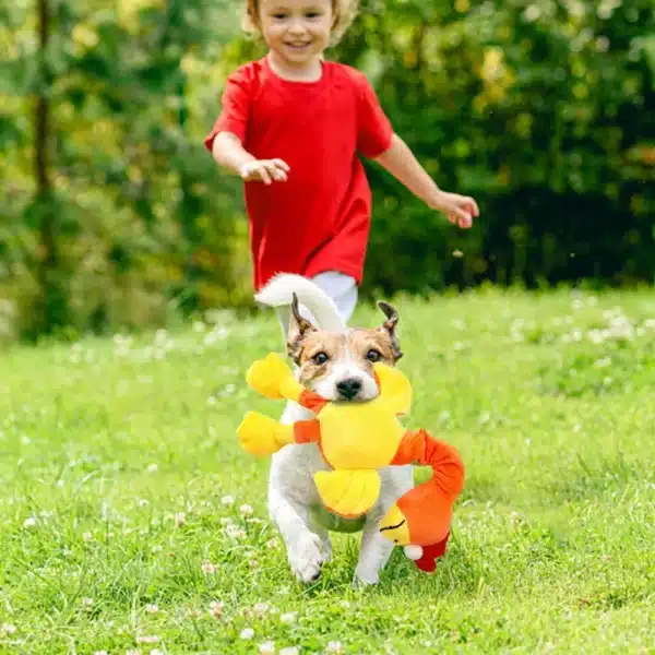 Pets Dog Toys Screaming Chicken Sound Toy Puppy Bite Resistant Chew Toy Interactive Squeaky Dog Toy Puppy Dog Accessories 6