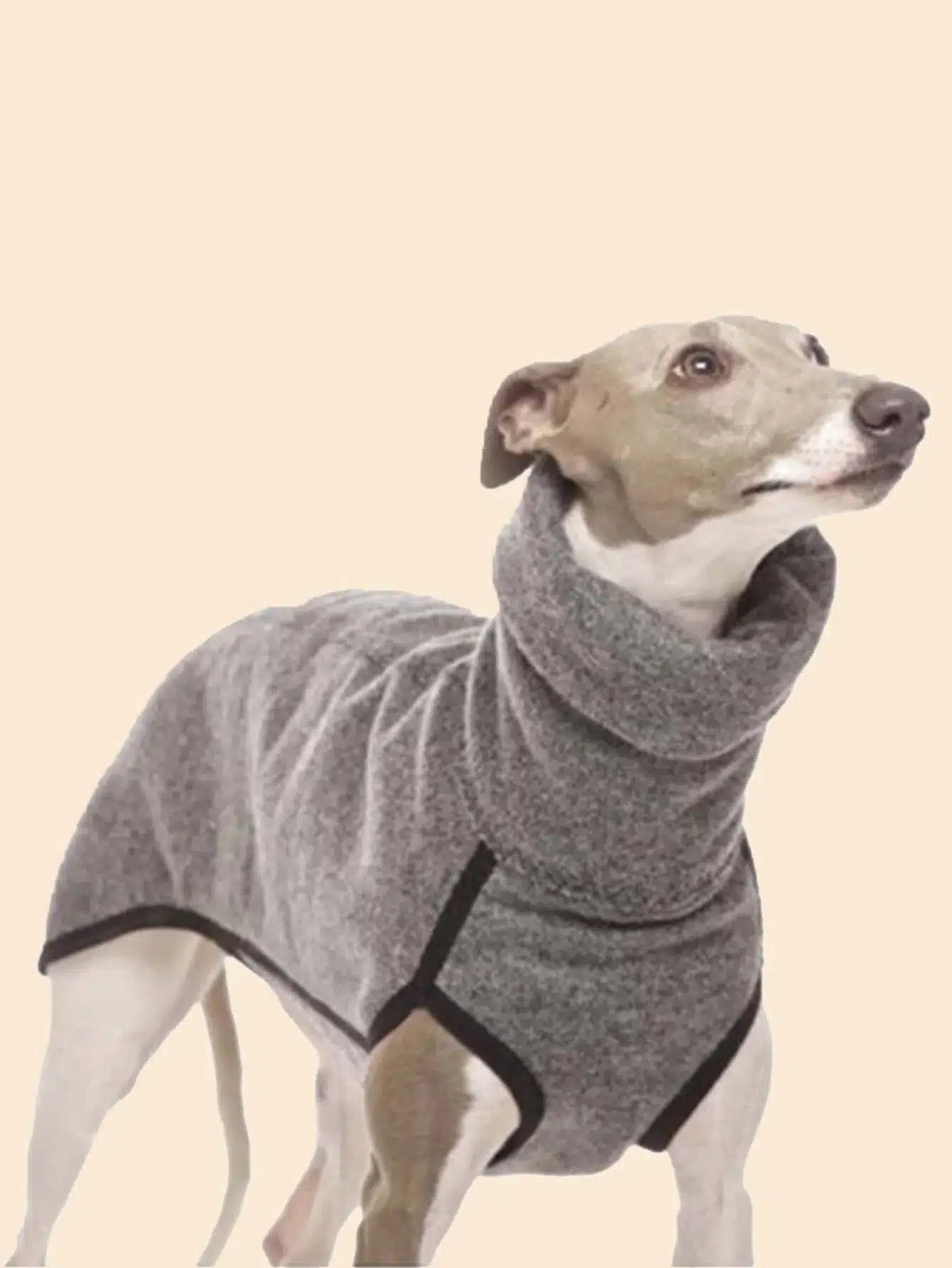 Greyhound Clothes, Dog Winter Coat Pajamas Onesies  Turtleneck Stretch Greyhound Apparel Pet Clothes Coat Outfit for Medium, Lar 1