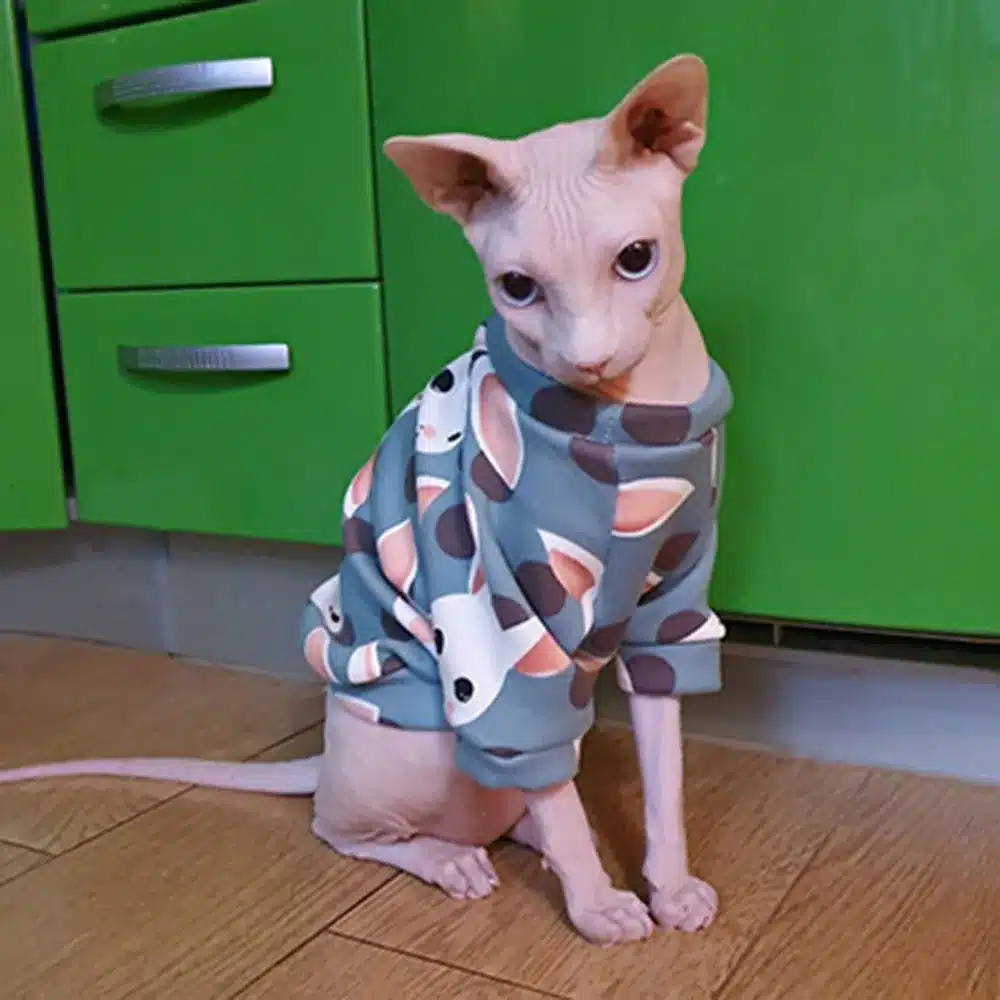 Winter Sphynx Cat Clothes Warm Fleece Cat Hoodie Coat for Puppy Pet Clothing Cute Small Dogs Apparel Hairless Cat Shirt Sweater 1