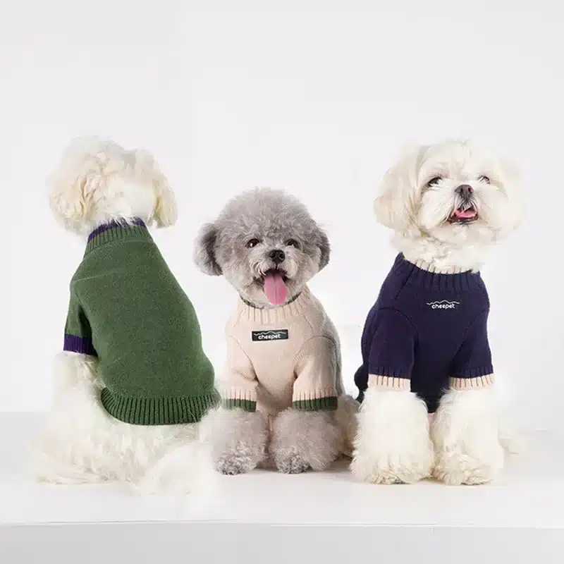 Ins Warm Pet Sweater Contrast Color Two Legged Dog Sweater Fashion Pet Apparel Designer Dog Clothes Luxury Dog Clothes 1