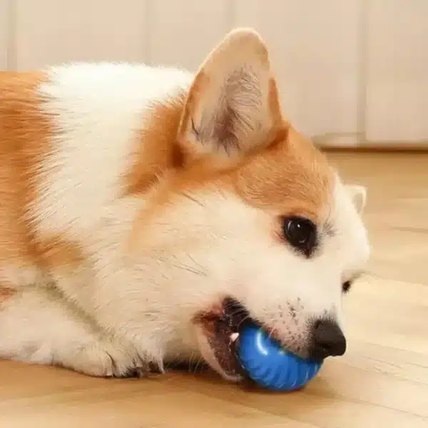 Dog Toy Ball Automatic Moving Bouncing Rolling Ball USB Smart puppy Interactive Dog Chew Toy Ball 3