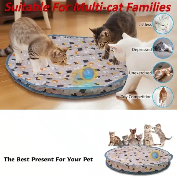 Interactive Cat Toys Ball Fast Rolling in Pouch Hide and Seek Kitten Toy Motion Activated Interactive Cat Toy for Indoor 3