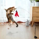 Funny Cat Toy Folorful Fluffy Feather With Bell Sucker Cat Stick Toy Kitten Play Interactive Detachable Teaser Wand Cat Supplies 1