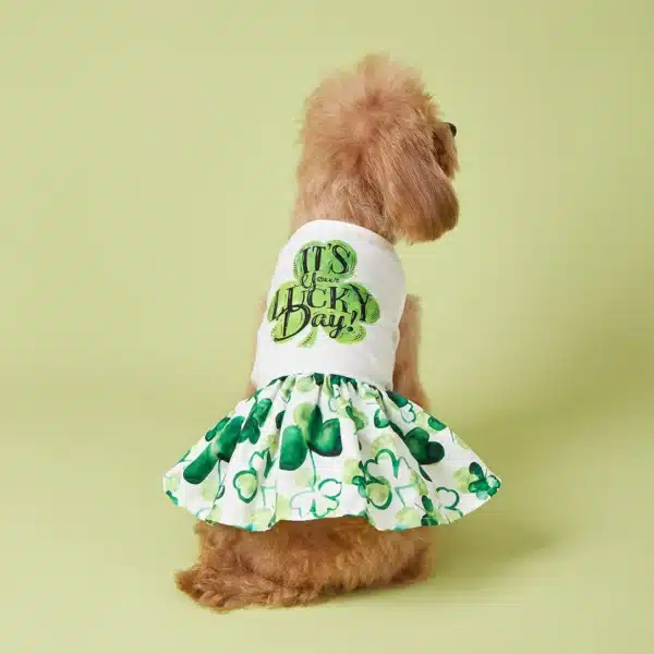 Cutest Clover in The Dog Dress, St Patricks Day Dog Clothes for Small Dogs Girl, Funny Pet Apparel Cat Holiday Outfit 3