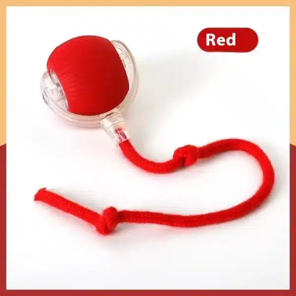 Rechargeable Cat Toys Interactive Smart Pet Interaction Automatic Rolling Ball Toy Accessories for Cats Electric Dog Ball Things 6