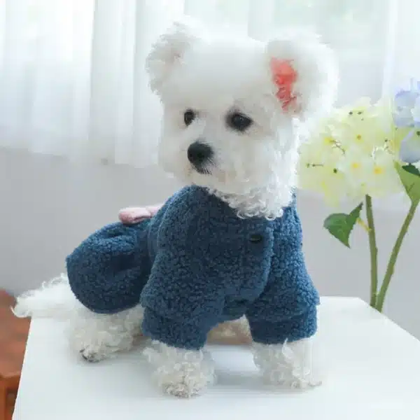 1PC Pet Apparel Cat Dog Autumn and Winter Plush Thickened Warm Blue Bow Princess Dress Suitable for Small and Medium sized Dogs 5