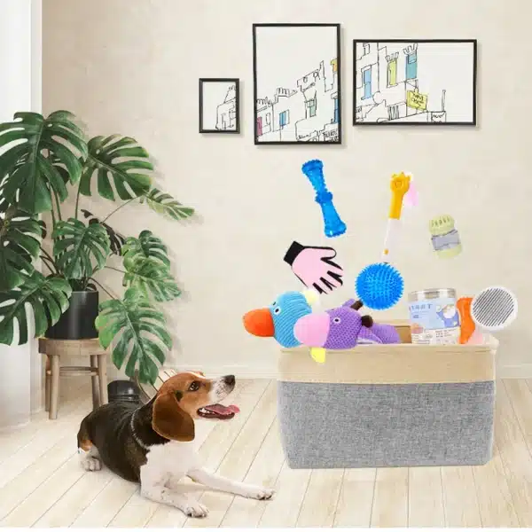 10/20/50 Pack Dog Squeaky Toys Plush Games Cute Plush Toys for Small Medium Dog Fleece Toys Wholesale 5