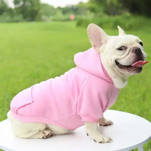 Puppy Apparel Outfit Pet Costume Solid Color Two-legged Warm Clothes Cat Dog Pullover Clothes Hoodies With Pockets DIY Soft 4