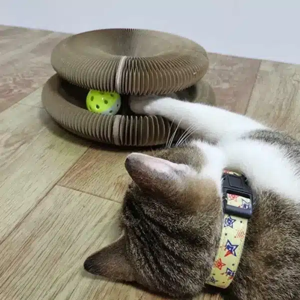 Factory hot sell Interactive Cat Scratching Cardboard Toy Foldable Magic Organ Cat Scratching Board Cat Cordion 5