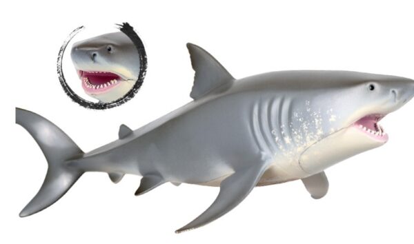 Children's emulation Great White shark  model toy - Image 3