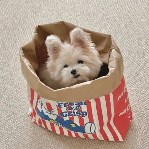 Creative Cute Hidden Food Pet Cat and Dog Kraft Paper Popcorn Paper Bag Puzzle Decompression Sound chew Dog Toy 1