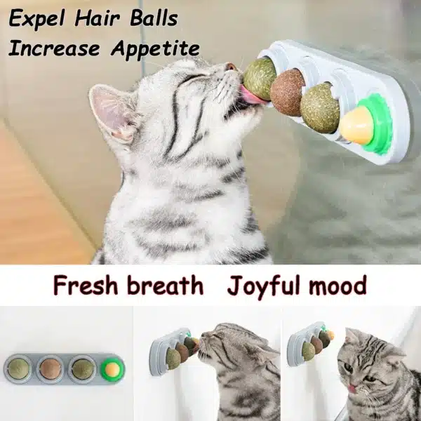 Natural Catnip Cat Wall Stick-on Ball Toy Scratchers Treats Healthy Natural Removes Balls to Promote Digestion Cat Grass Snack 5