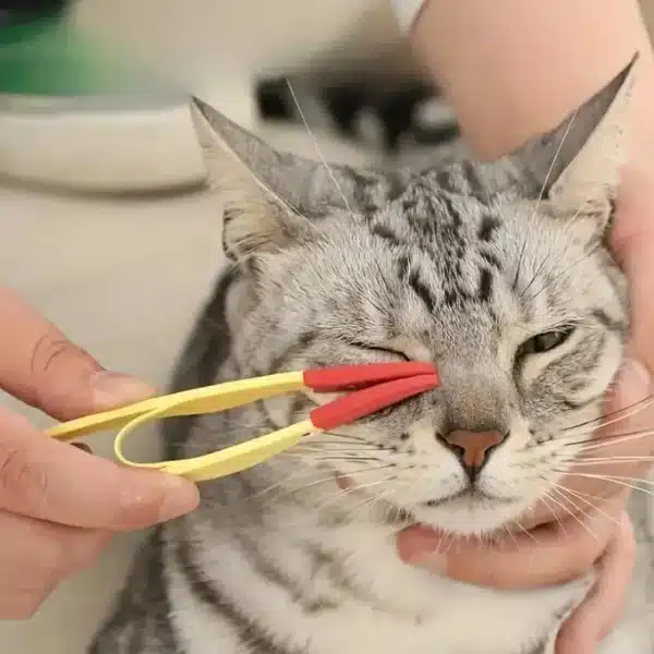 Pet Eye Comb Brush Pet Tear Stain Remover Comb Double-Sided Eye Grooming Brush Removing Crust Mucus For Small Cat Dog 2